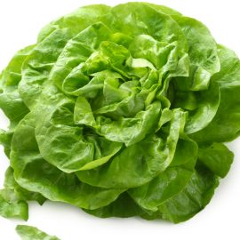 Salade Laitue bio Alsace